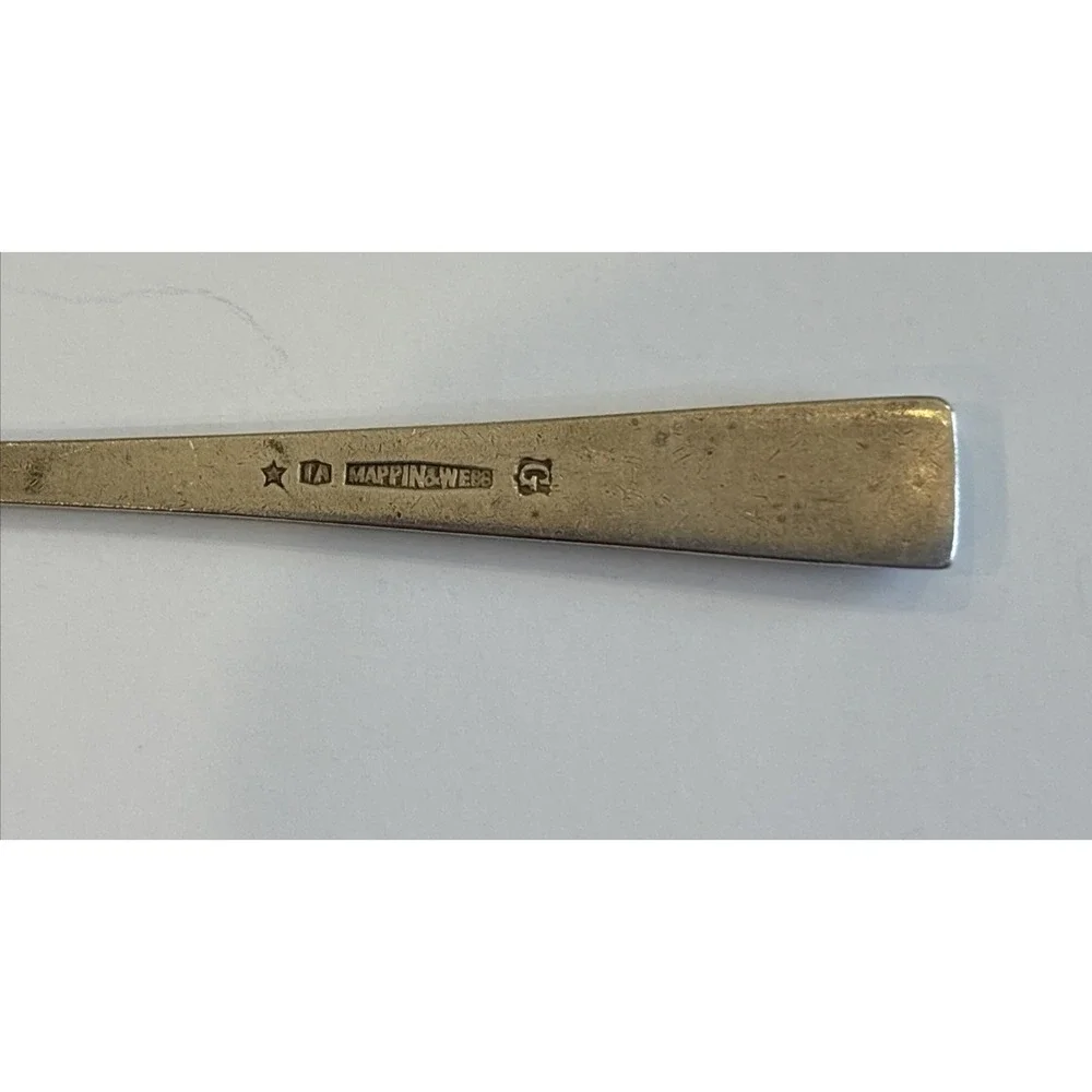 P&O Mappin and Webb Silverplate Salt/Condiment Spoon Navigation Cruise Flatware